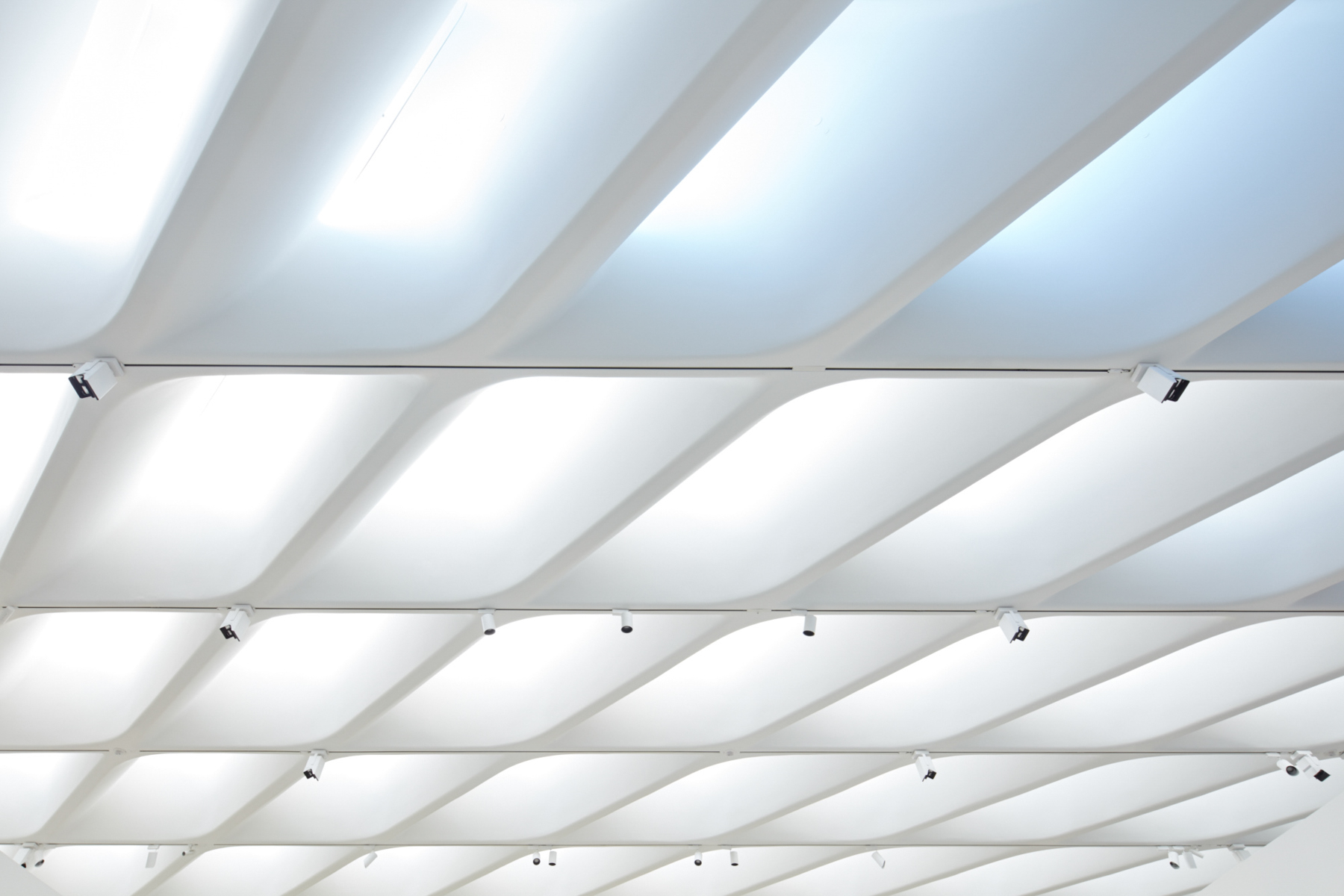 RD_The Broad_0167